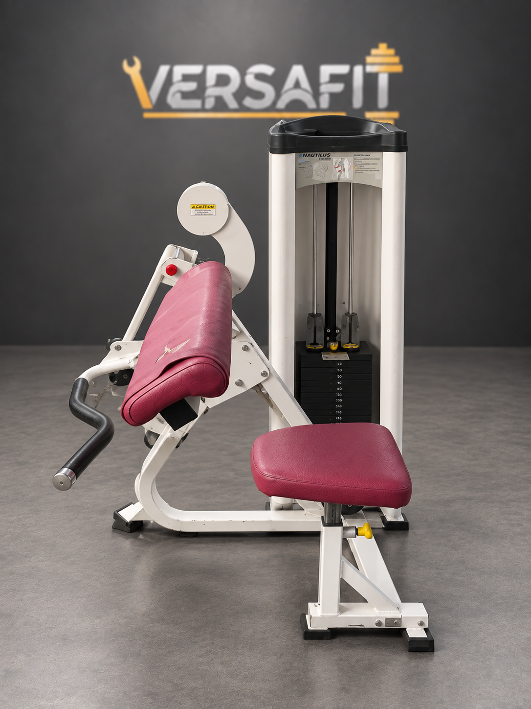 Nautilus Studio Bicep Curl