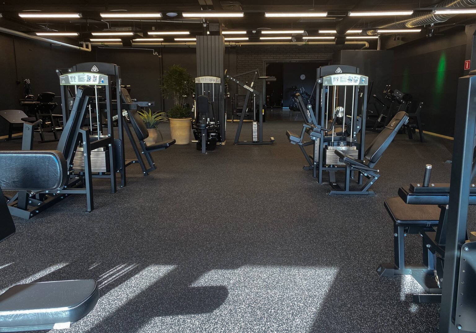 Gymleco 341 Seated Leg Curl, Image 3