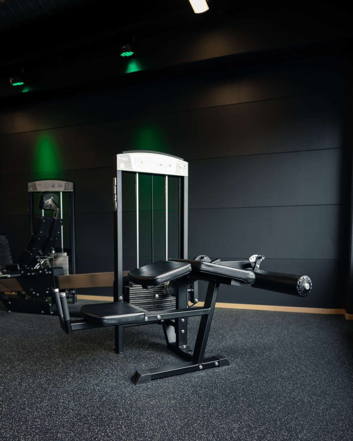 Gymleco 342R Lying Leg Curl, Adjustable, Image 3