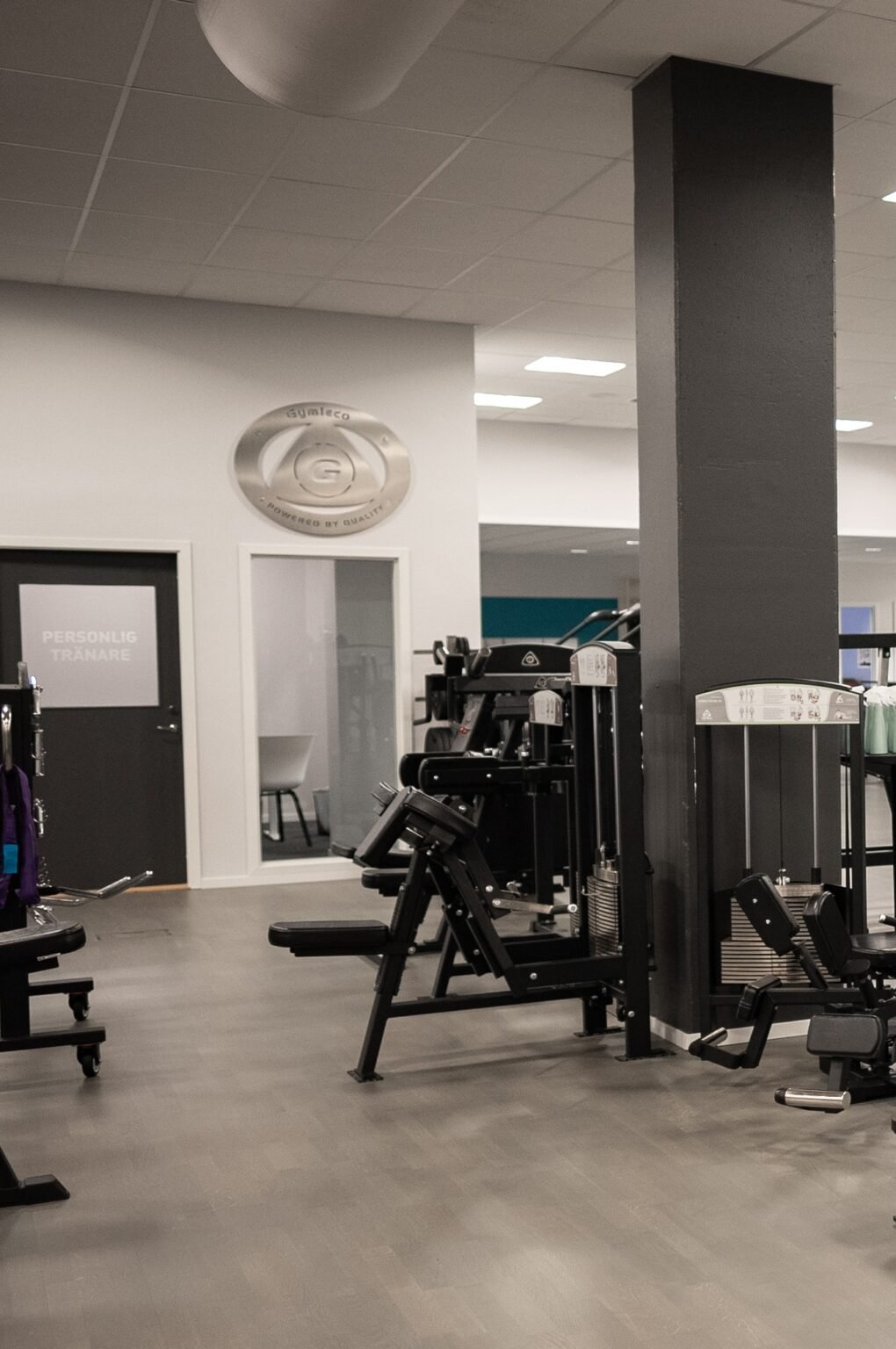 Gymleco 350 Biceps Curl Machine, Image 4