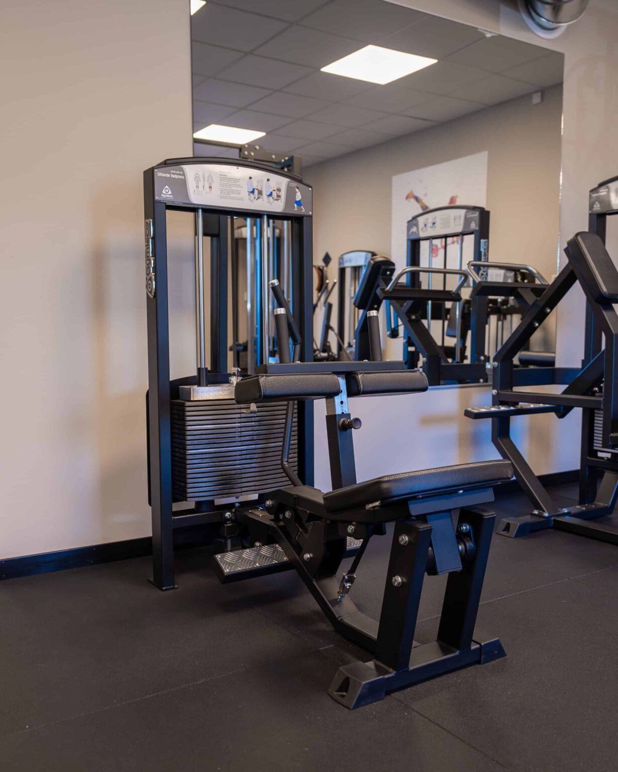 Gymleco 345 Seated Calf Press, Image 3