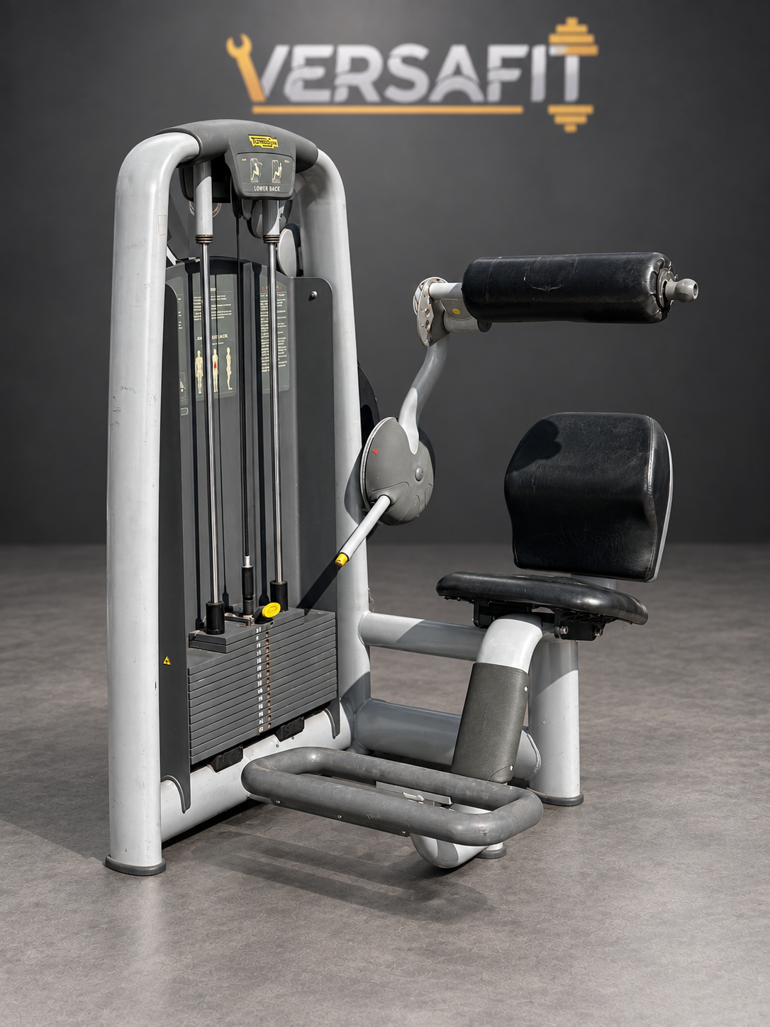 Technogym Selection Back Extension