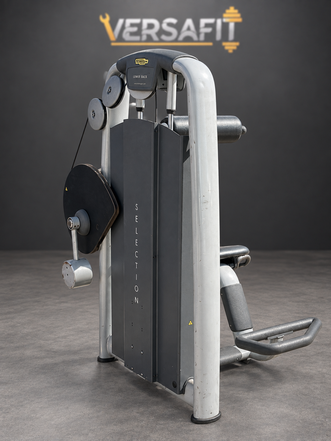 Technogym Selection Back Extension, Image 3