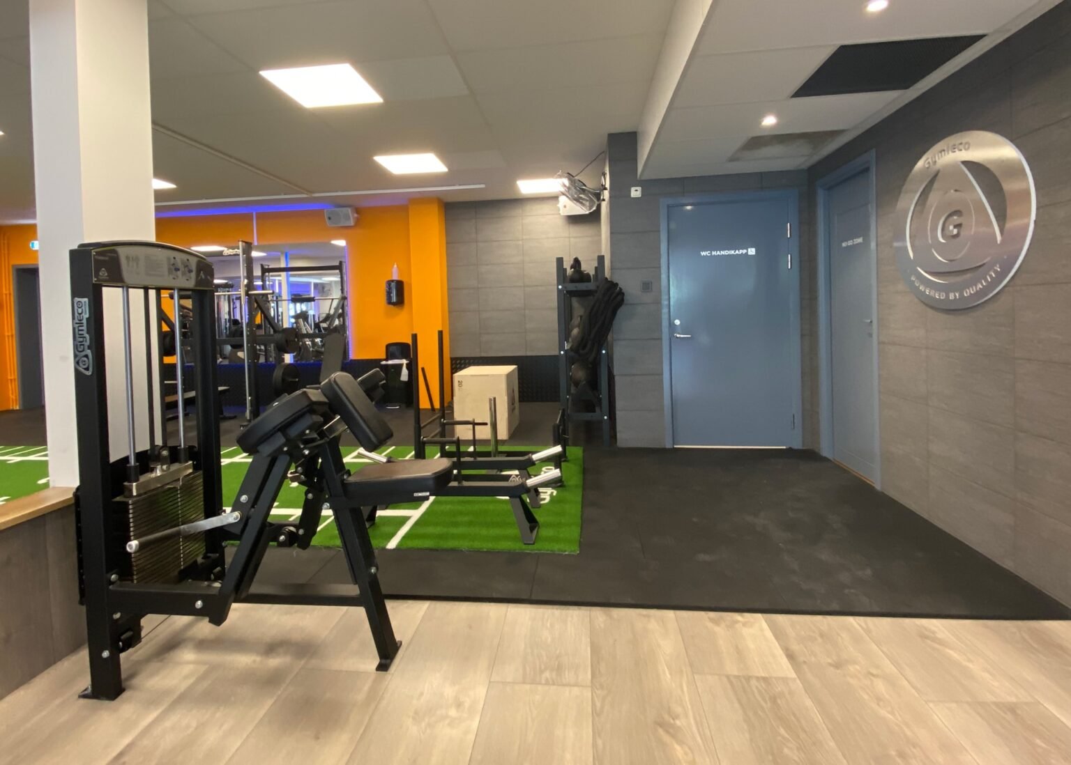 Gymleco 350 Biceps Curl Machine, Image 3